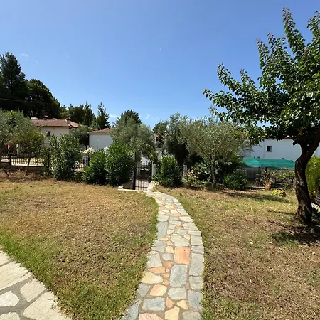 Family House For Rent Apartment